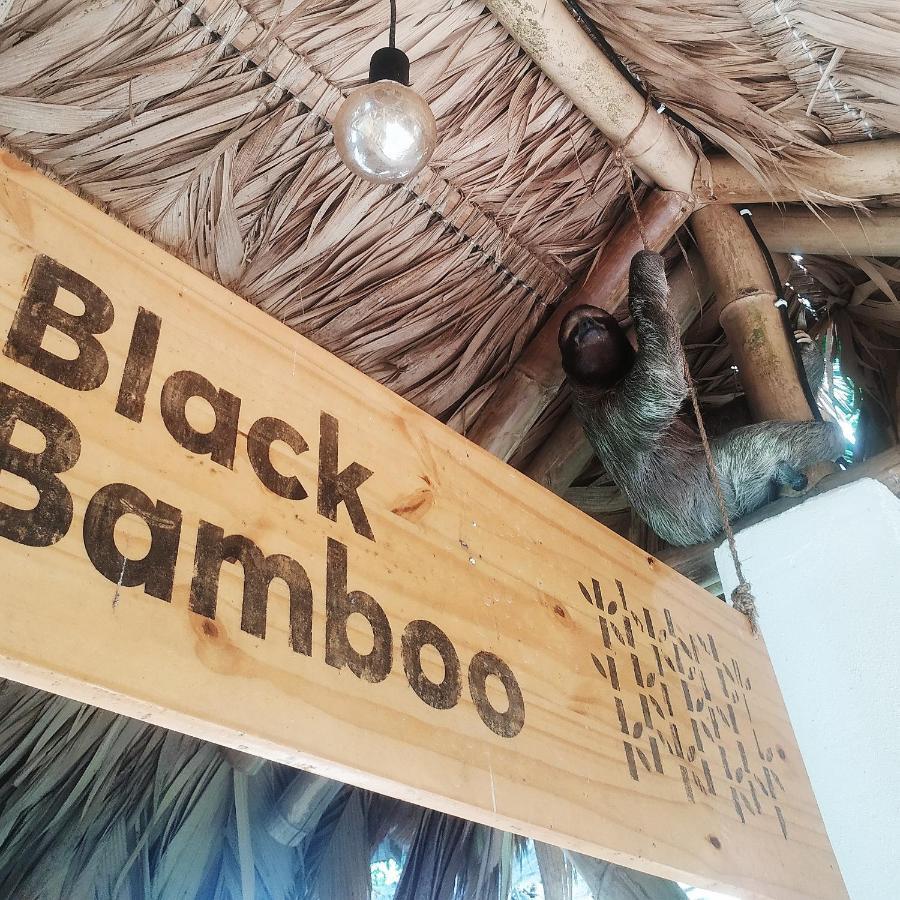Black Bamboo Puerto Viejo de Talamanca Zewnętrze zdjęcie