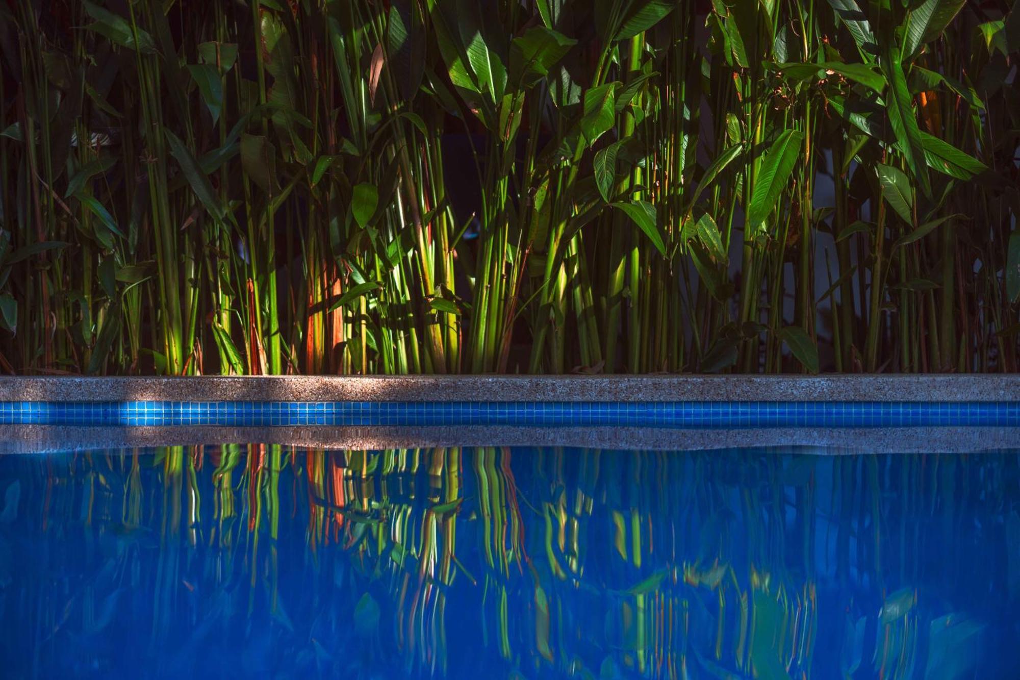 Black Bamboo Puerto Viejo de Talamanca Zewnętrze zdjęcie