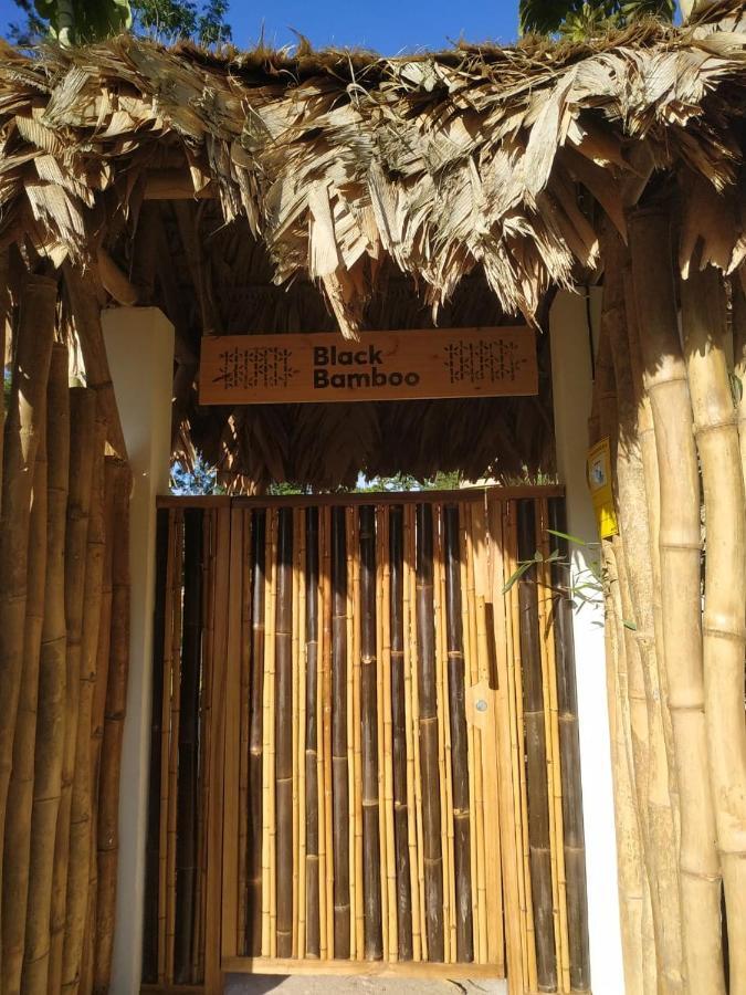Black Bamboo Puerto Viejo de Talamanca Zewnętrze zdjęcie